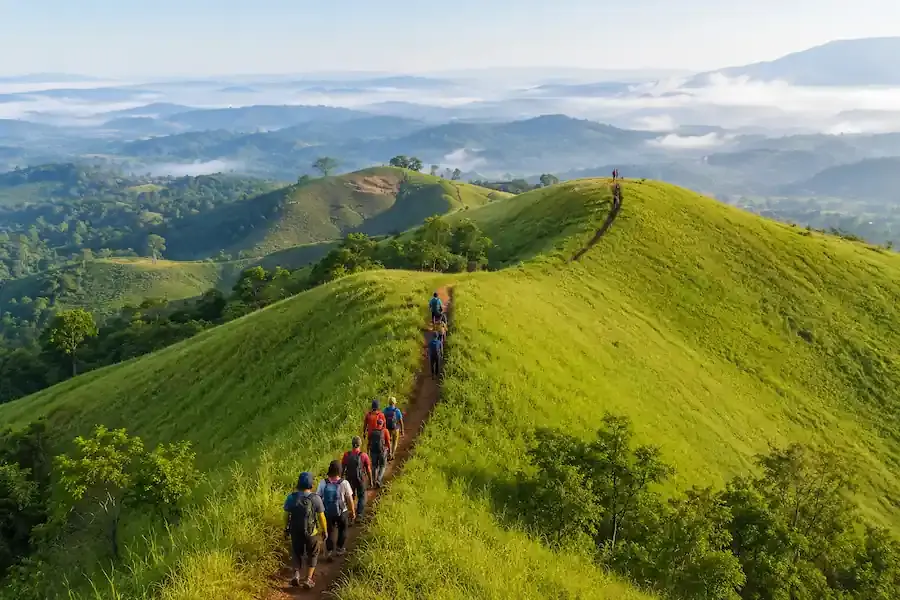 Bukit Telang, Tanah Laut